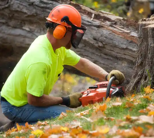 tree services South Hempstead